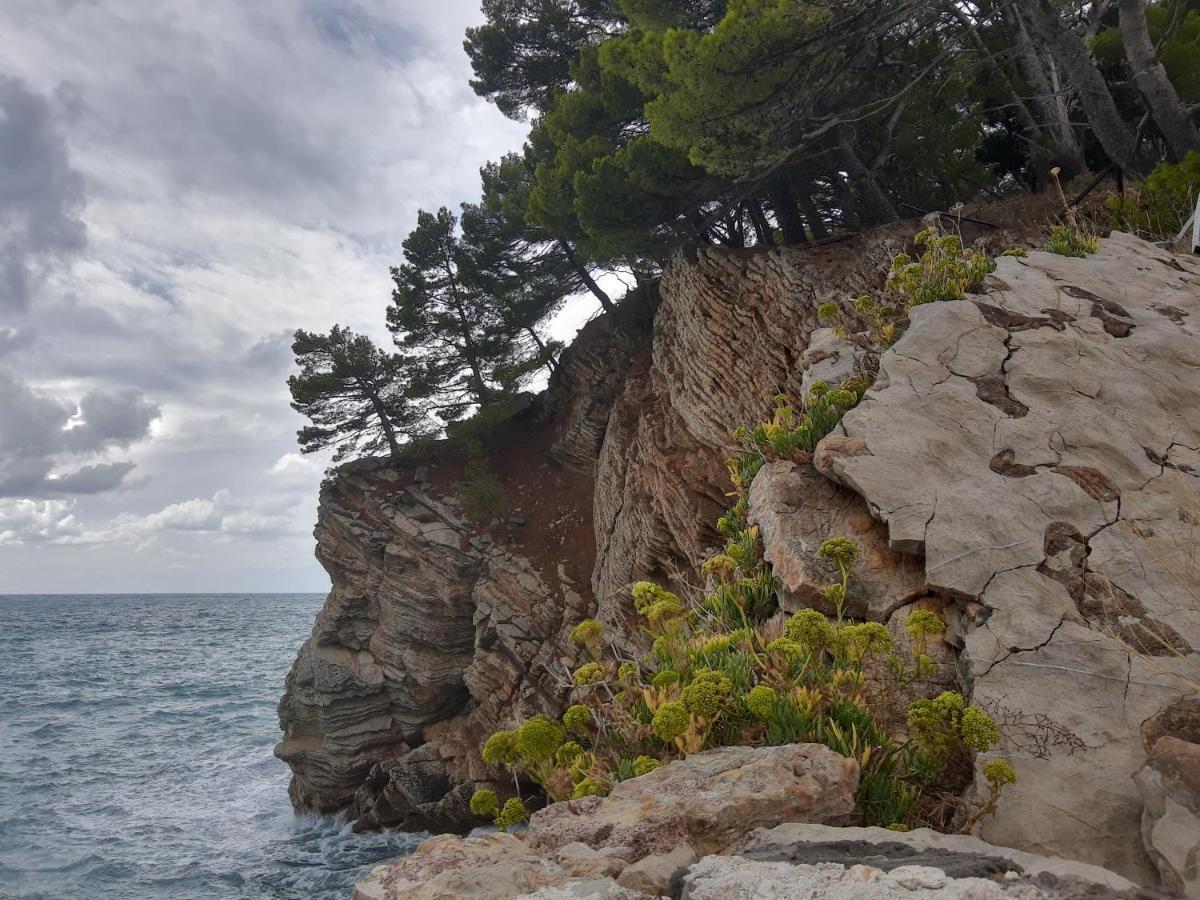 Sea-Side Old Stone Villa With A Private Garden Будва Экстерьер фото