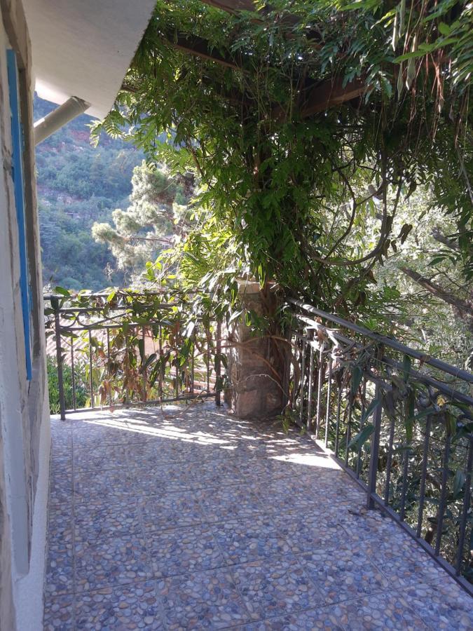 Sea-Side Old Stone Villa With A Private Garden Будва Экстерьер фото