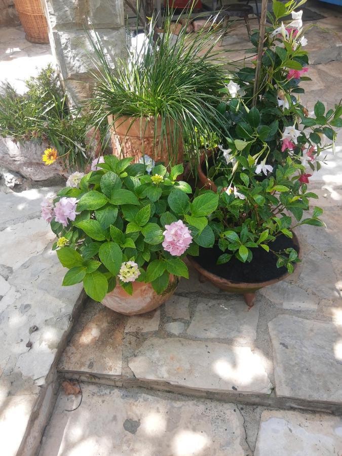 Sea-Side Old Stone Villa With A Private Garden Будва Экстерьер фото