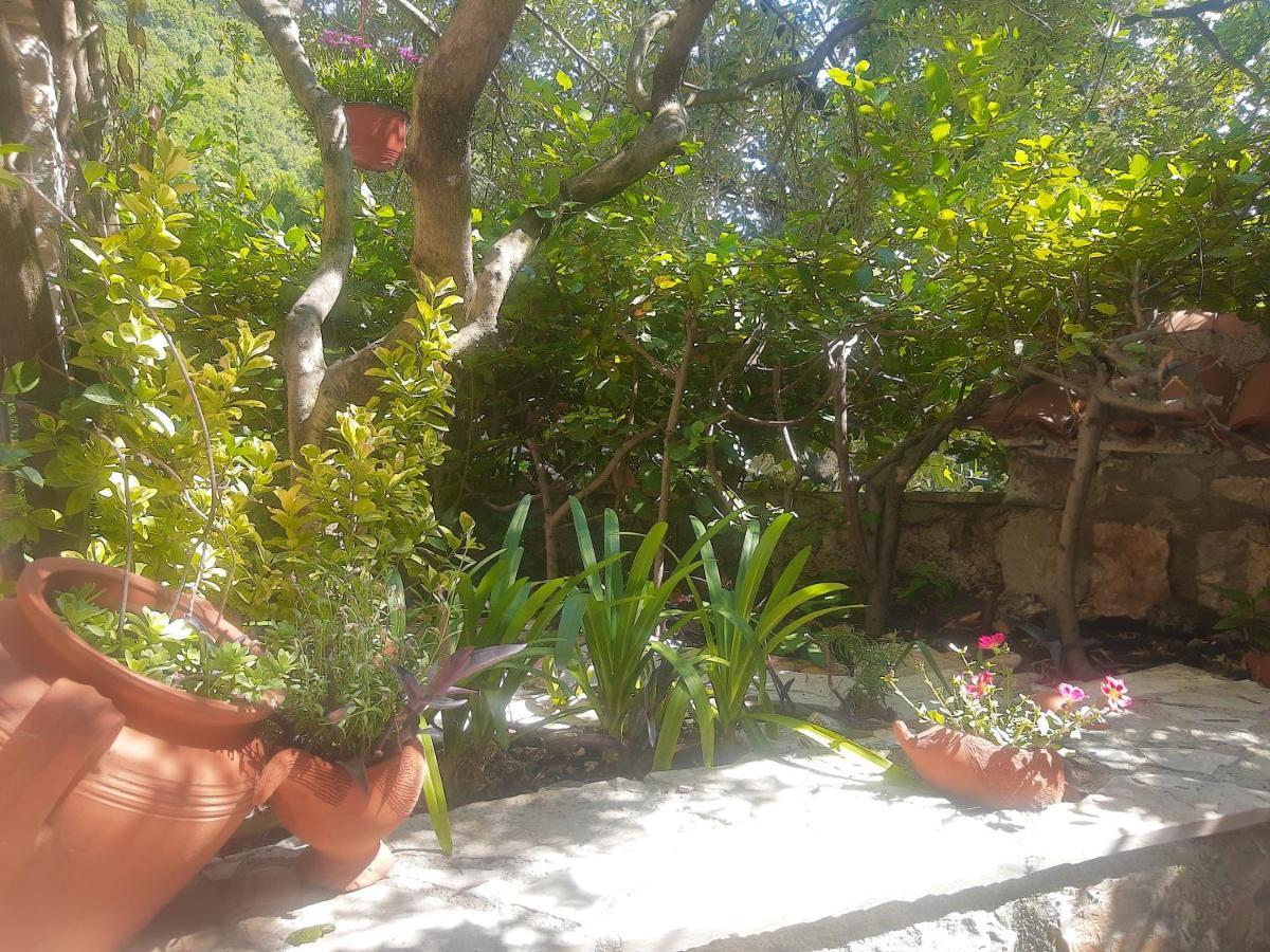 Sea-Side Old Stone Villa With A Private Garden Будва Экстерьер фото